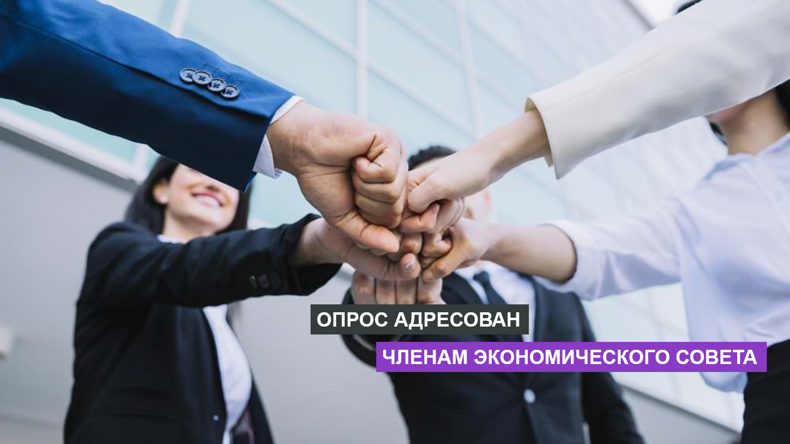 Мнение членов Экономического совета о платформе — Economic council